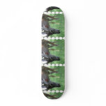 undefined skate decks