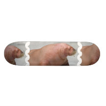 undefined skateboard decks