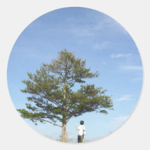 under a tree sticker