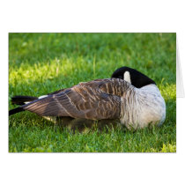 Under Mom’s Wing Greeting Cards