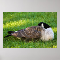 Under Mom’s Wing Poster
