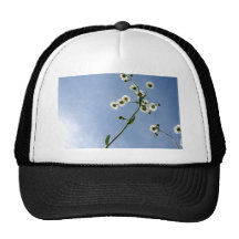 Under the daisies trucker hat