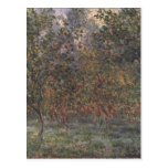 Under the Lemontrees Postcards