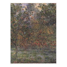 Under the Lemontrees Postcards