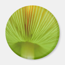 Under the Mushroom Umbrella Fridge Magnet