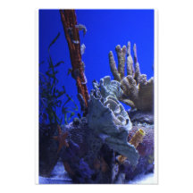 Under the Sea Personalized Invites
