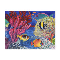 Under the Sea Postcard