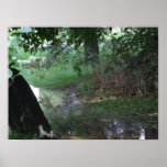 Under the Tree Poster