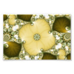 Underflower Fractal Photo