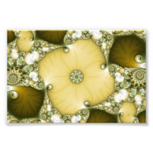 Underflower Fractal Photo