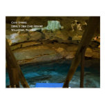 Underground Spring Postcard