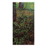 Undergrowth by Vincent van Gogh Personalized Photo Card