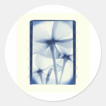 Underneath Flowers - Vintage Aged Blue Cyanotype Round Sticker