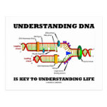 Understanding DNA Is Key To Understanding Life Postcards