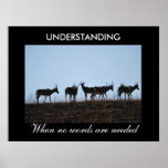 Understanding Poster