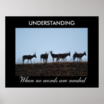 Understanding Poster