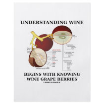 Understanding Wine Begins With Knowing Wine Grape