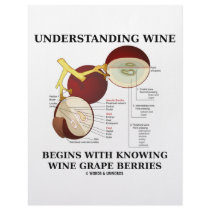 Understanding Wine Begins With Knowing Wine Grape