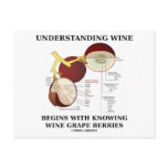 Understanding Wine Begins With Knowing Wine Grape