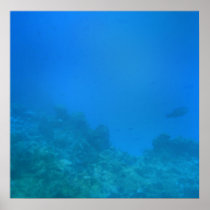 Underwater Background Scene Poster