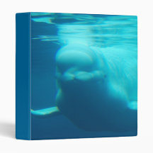 Underwater Beluga Whale Binder