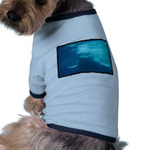 Underwater Beluga Whale Pet Clothing