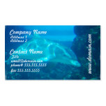 Underwater Dolphin Business Cards