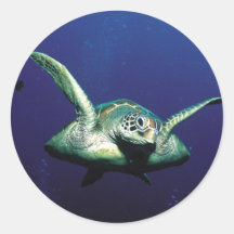 Underwater Flight Sticker
