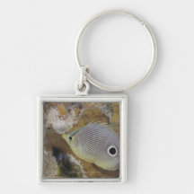 Underwater Life, FISH: A Foureye Butterflyfish Key Chains