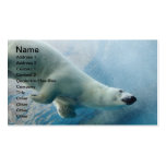 Underwater photo of a Polar Bear Business Card Templates