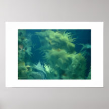 underwater posters