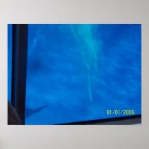 underwater print