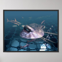 Underwater Print