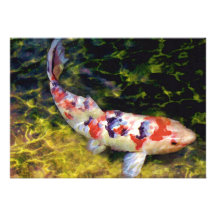 Underwater Sanke Koi Personalized Invite
