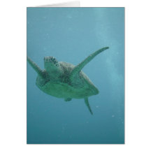 Underwater Sea Turtle Greeting Card