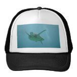 Underwater Sea Turtle Hat