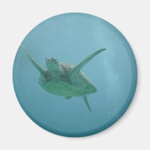 Underwater Sea Turtle Magnets