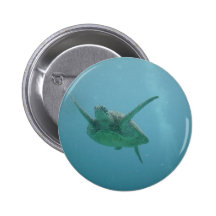 Underwater Sea Turtle Pin