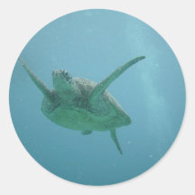 Underwater Sea Turtle Round Sticker