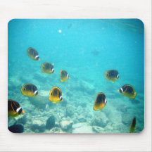 Underwater Tropical Fish Mousepads