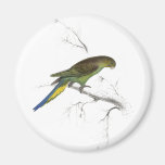 Undulated Parrakeet by Edward Lear) Fridge Magnet