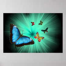 Une affiche de voyage de Butterflys
