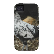 une conception merveilleuse d'un bel oiseau exotiq coques Case-Mate iPhone 4