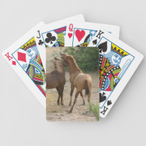 Une conversation de cheval sauvage jeux de cartes