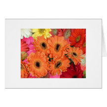 "Une multitude de dahlias " Cartes De Vœux