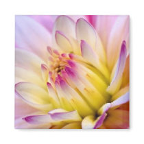 Unfolding Flower - Magnet
