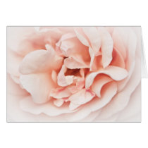 unfolding inner life cards