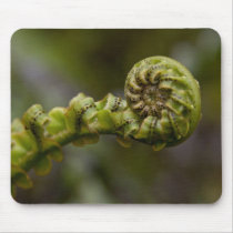 Unfurling Fern Frond Mousepads
