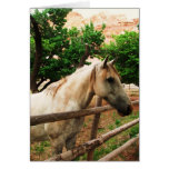 Unicorn Horse Greeting Card