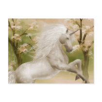Unicorn Magical Beauty Postcard